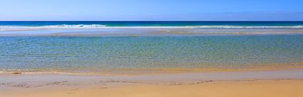 Fraser Island - QLD (PB5D 00 51A1231)